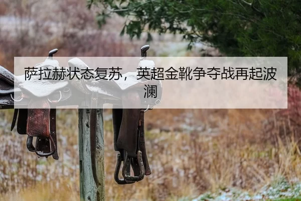 萨拉赫状态复苏，英超金靴争夺战再起波澜