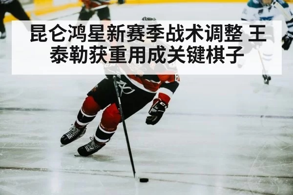 chinese ice hockey player